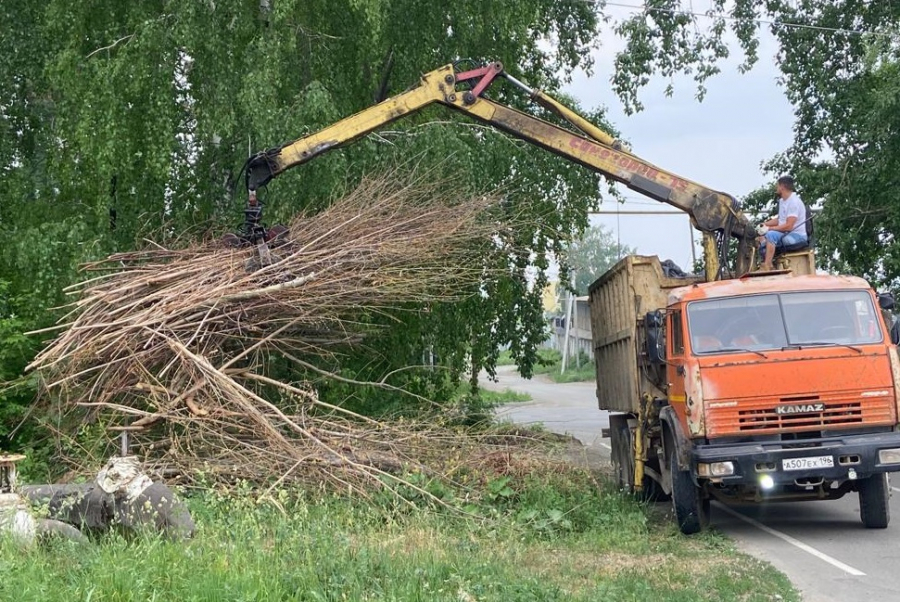 От петуний до ремонтов