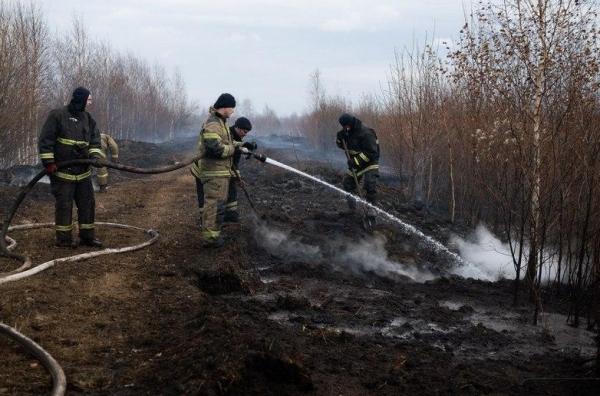 Евгений Куйвашев установил период пожароопасного сезона в 2025 году