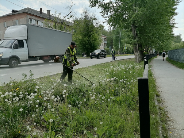 Стартовали покос и кронирование