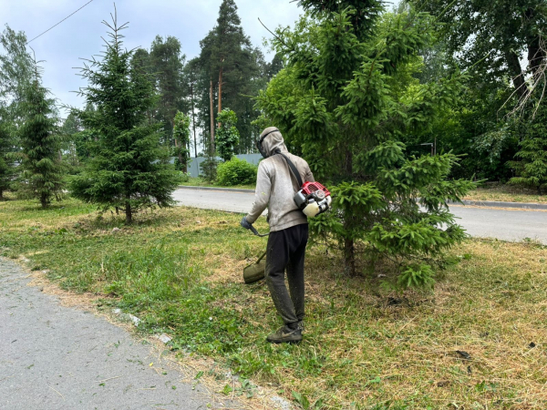 Косят, бурят, благоустраивают