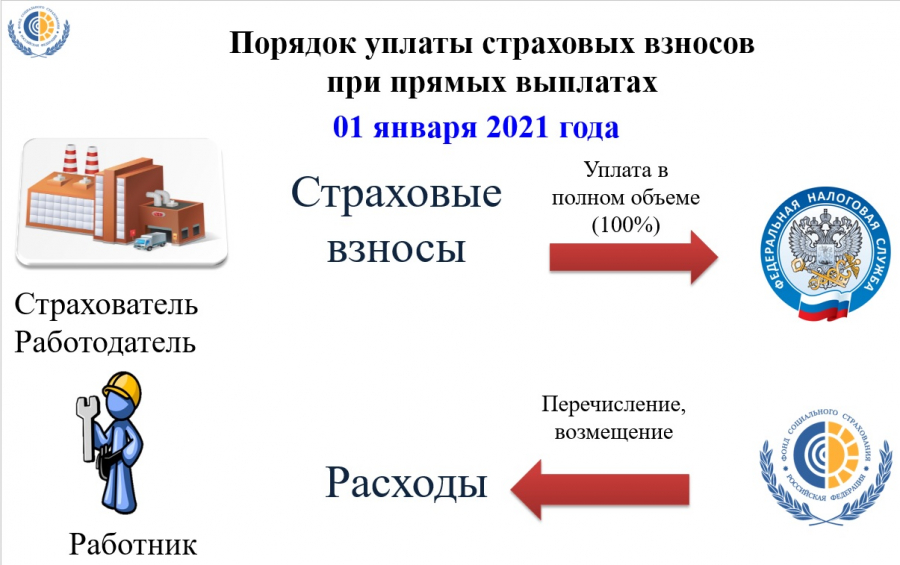 Прямые выплаты в 2024 году