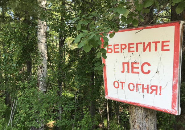 "Как отблеск от заката, костер меж сосен пляшет"
