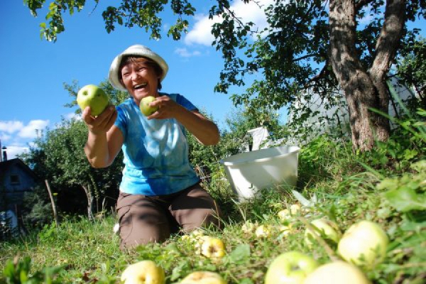 Скоро дачников не будет