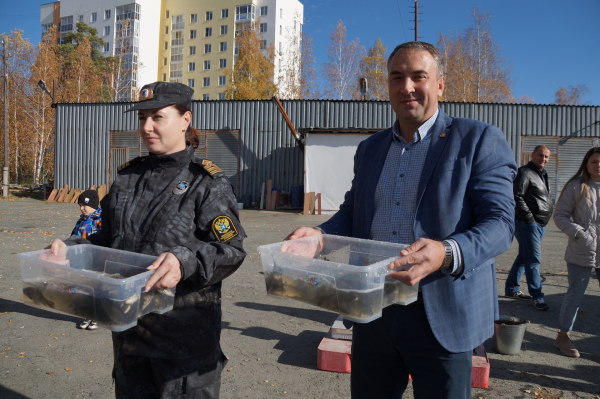 «Речных поросят» отправили в Исетское озеро