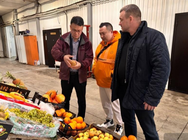 Сезонные овощи и фрукты из Китая поставят в магазины региона