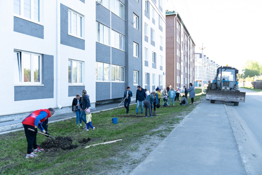 В Среднеуральске высаживали деревья не только на улицах города, но и во дворах