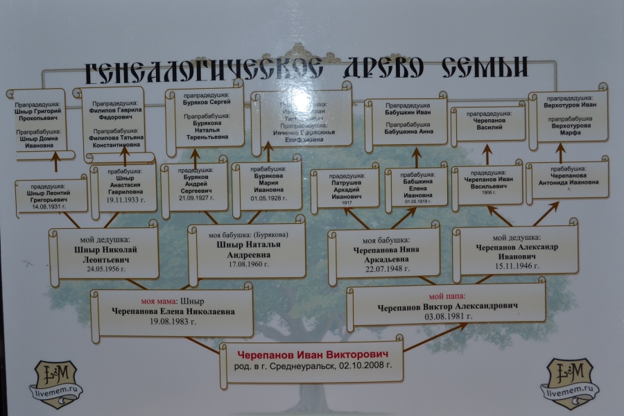 История моей семьи в истории моей страны проект по истории