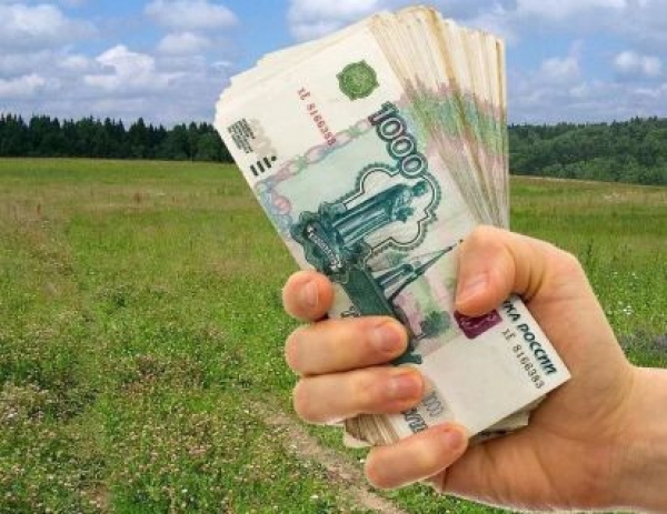 Все больше многодетных семей выбирают денежную выплату